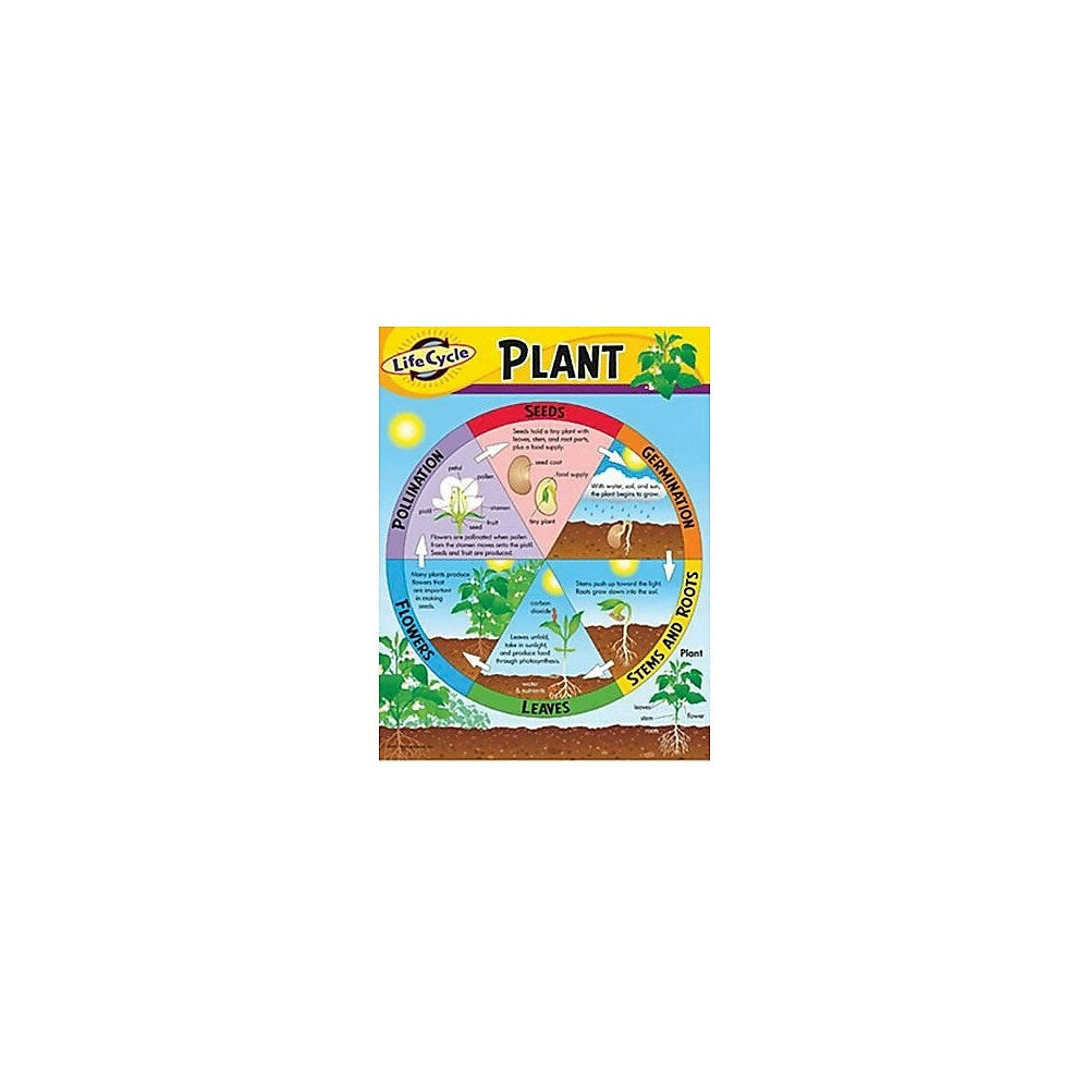 Image of TREND enterprises, Inc. Life Cycle of a Plant Learning Chart, 17" x 22"