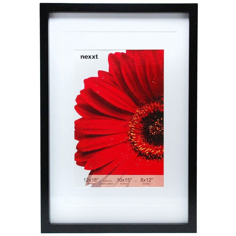 Image of Nexxt Gallery Double Matted Wood Frame, 12" x 18", Black