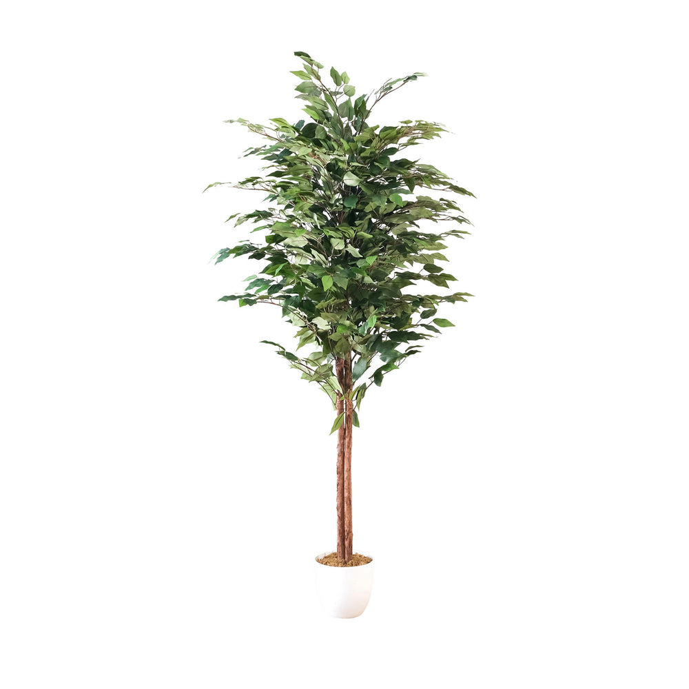 Image of Botaneeka Artificial Ficus Tree - 59"