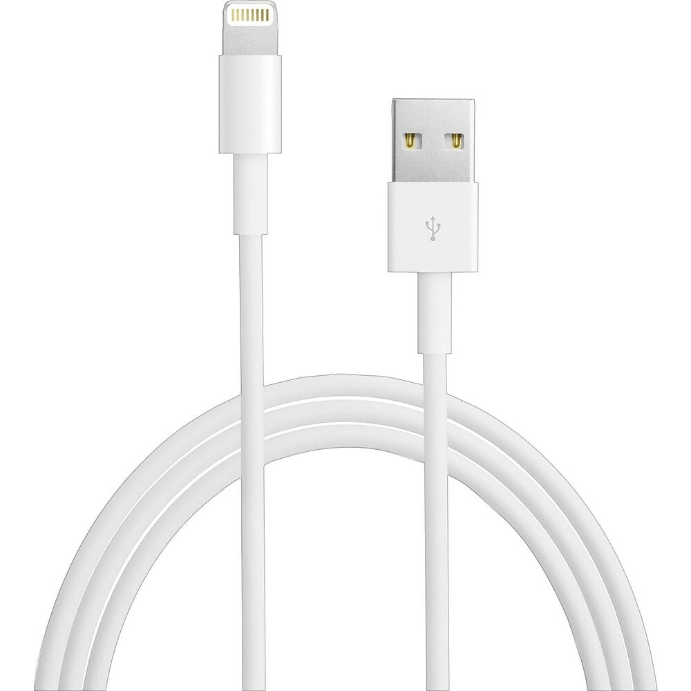 Chargeur secteur Belkin 2 ports USB-A avec câble Lightning 24 W Blanc -  Connectique et chargeurs pour tablette - Achat & prix