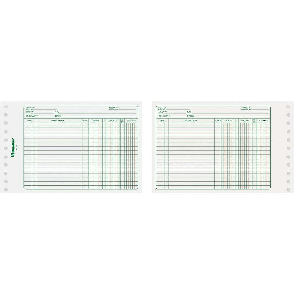 Image of Blueline BS55 Refill Sheets for Mini Ledger System