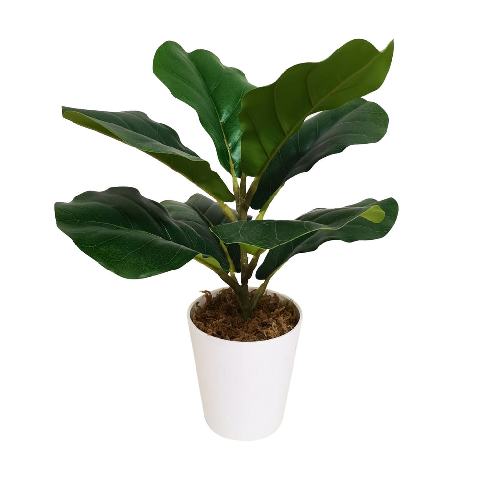 Image of Botaneeka Potted Artificial Fiddle Fig Tree - 14.96"