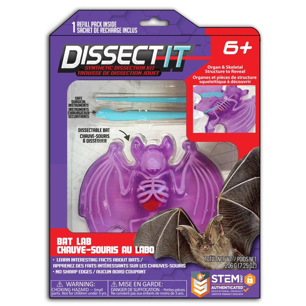 Image of Dissect It Bat Lab
