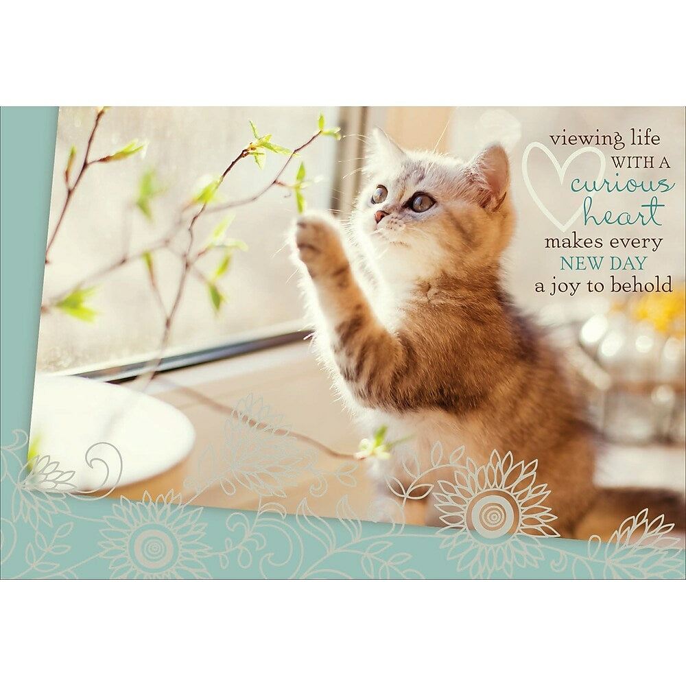 Image of Aline Greetings General Birthday Card, Kitten, Viewing life with a curious heart, 18 Pack
