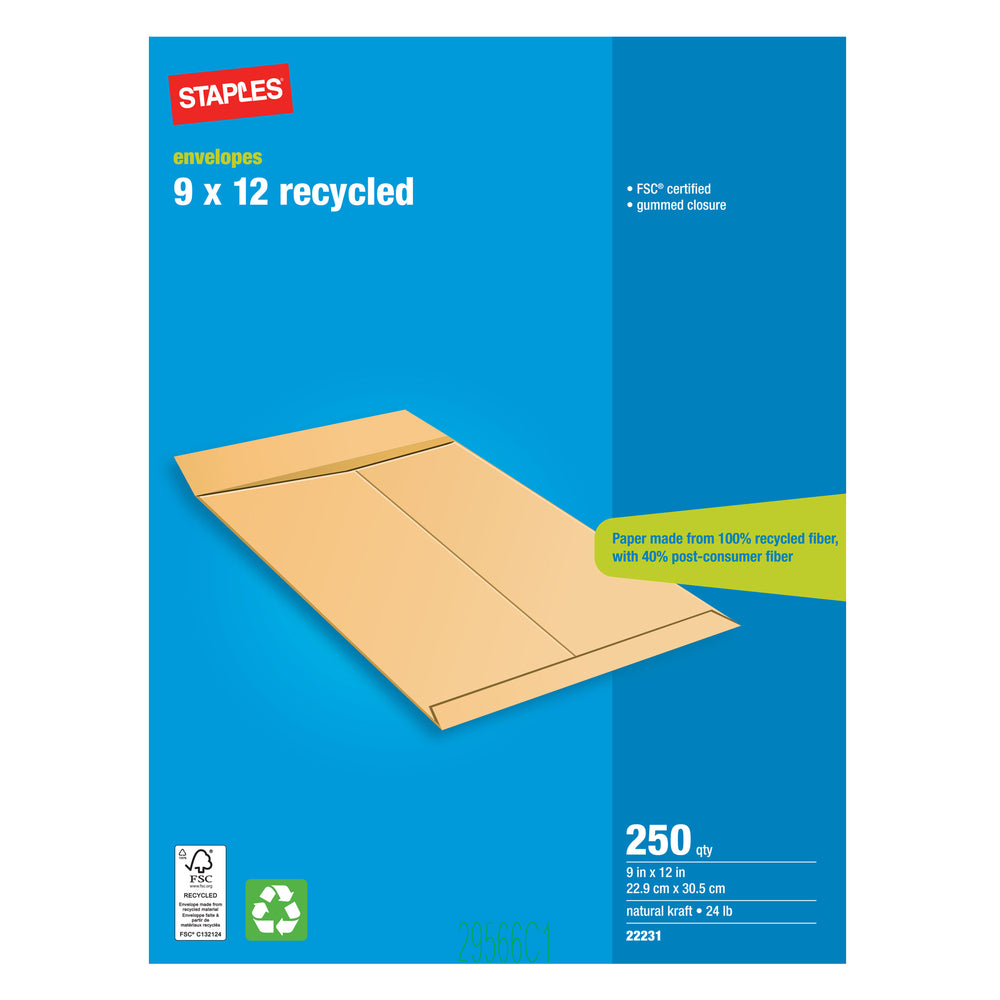 Image of Staples Catalogue Envelopes - 9" x 12" - 250 Pack