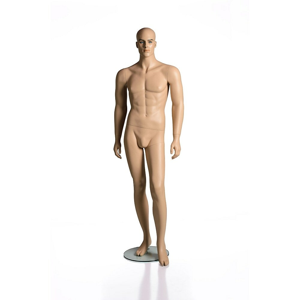 Image of RP Adult Male Mannequin, Caucasian Skin Colour (RPMB 1)