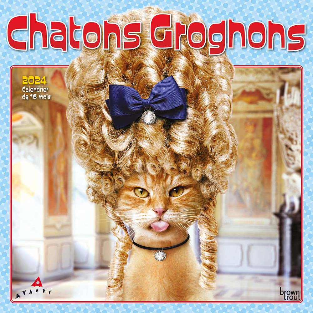 Image of BrownTrout Canada 2024 Avanti Chatons grognons Monthly Square Wall Calendar - 12" x 12" - Assorted - French