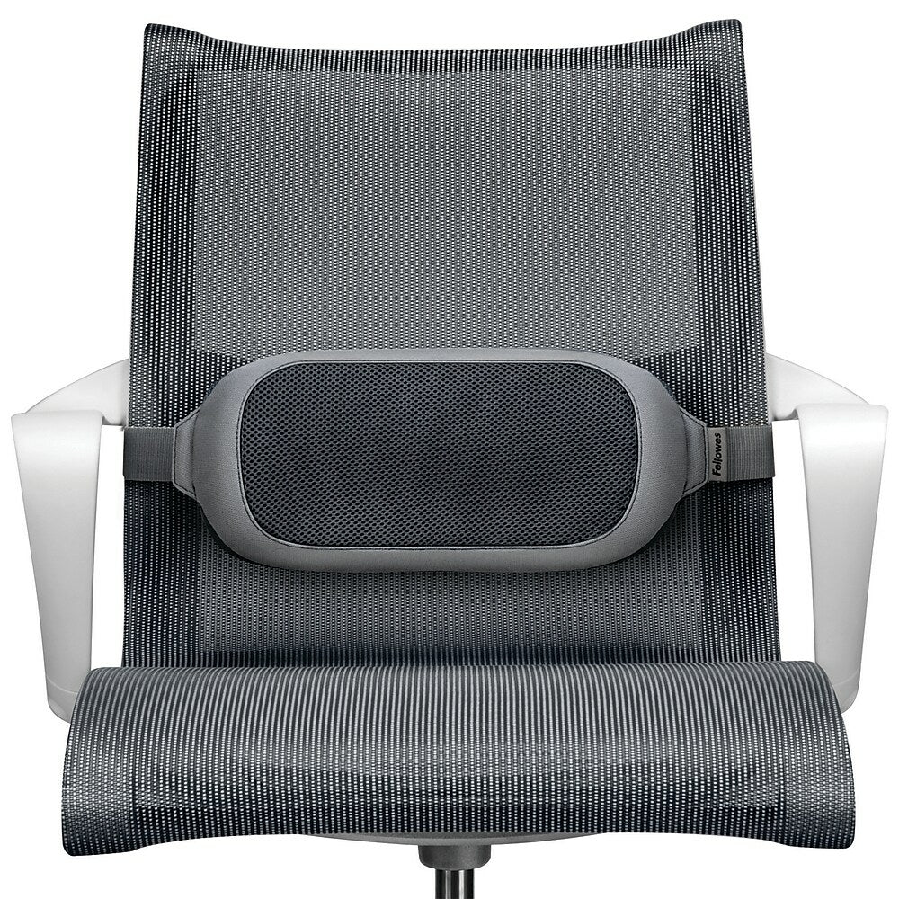 Image of Fellowes I-Spire Series Lumbar Cushion, Grey (9311603)