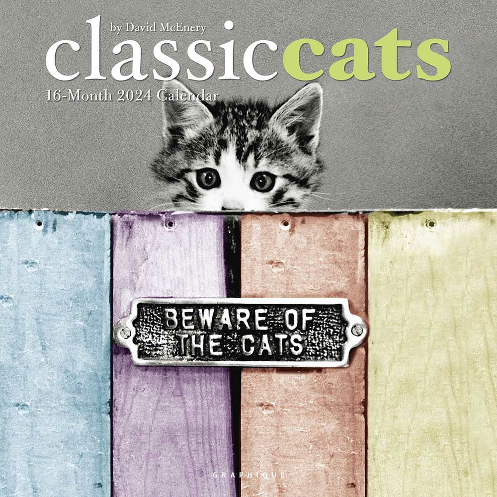 Image of Graphique de France 2024 Classic Cats Monthly Square Wall Calendar - 12" x 12" - Assorted - English