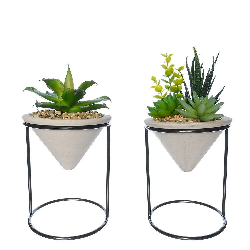 Image of Danson Succulents in Pot with Stand, 5.75", Green