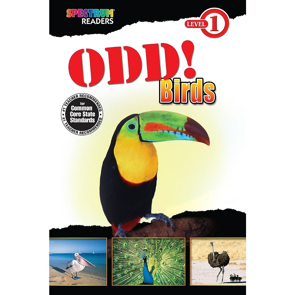 Image of eBook: Spectrum 704324-EB Odd Birds - Grade Preschool - 1