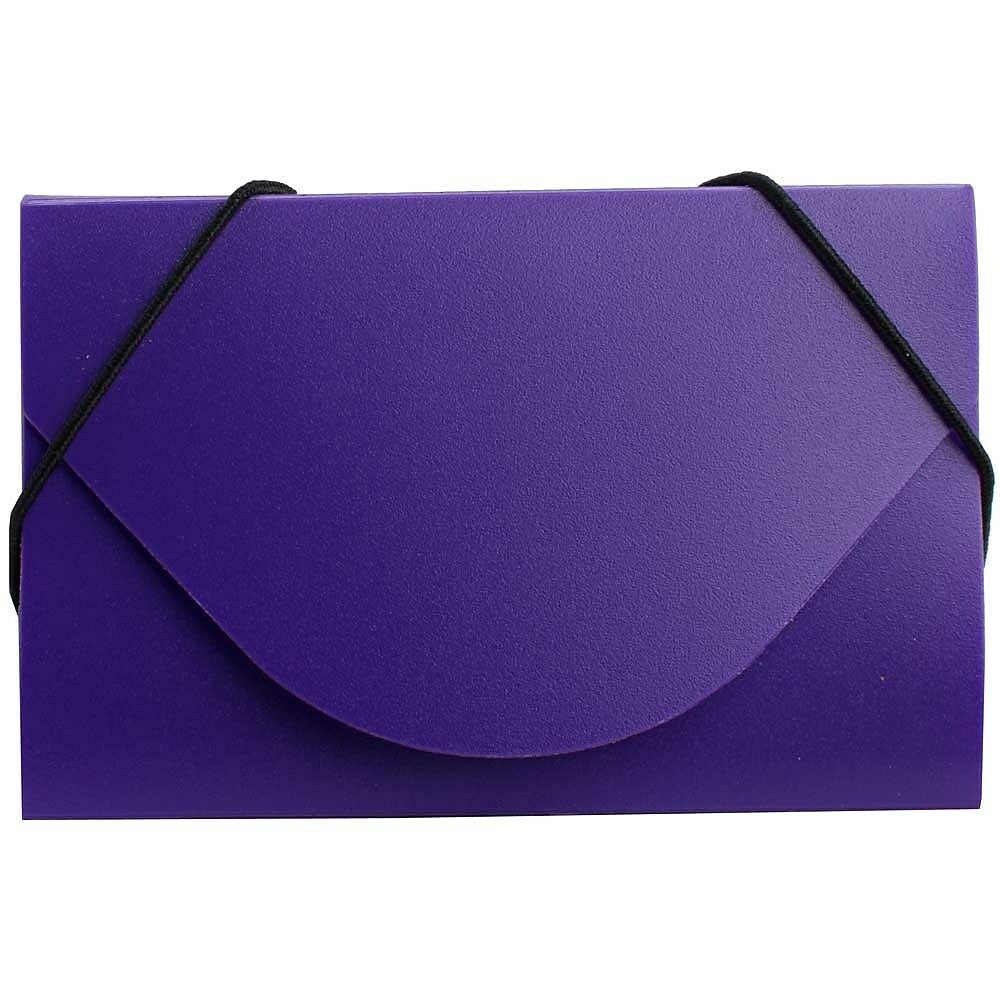 Image of JAM Paper Plastic Business Card Case, Purple, 5 Pack (291618970g)