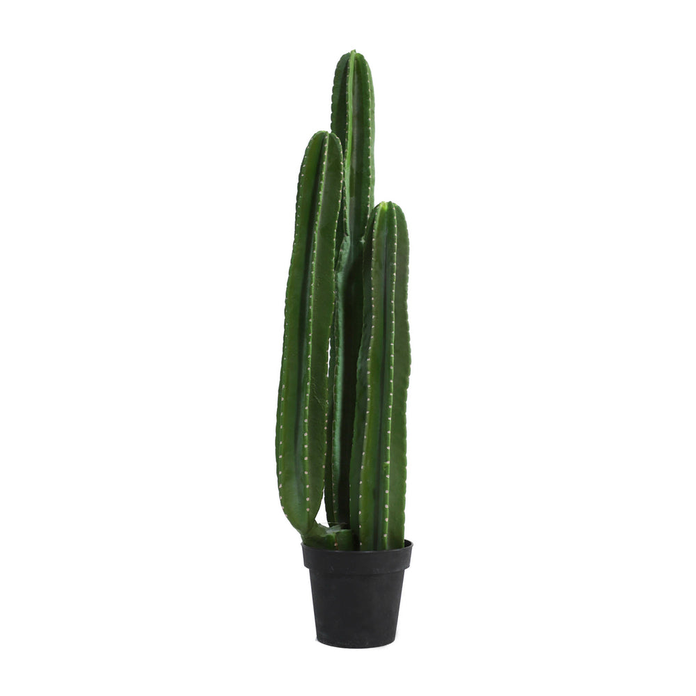 Image of Homeworks Artificial Cactus Plant - 39.37"