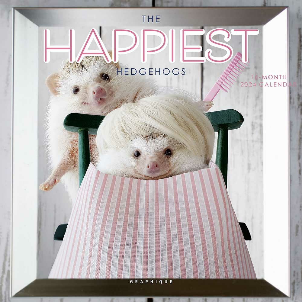 Image of Graphique de France 2024 The Happiest Hedgehogs Monthly Mini Wall Calendar - 7" x 7" - Assorted - English