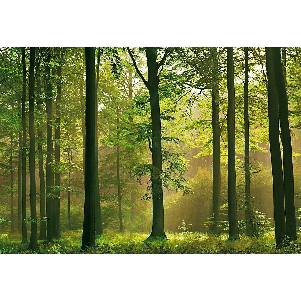 Image of Ideal Decor Autumn Forest Wall Mural, 100" x 144", Green