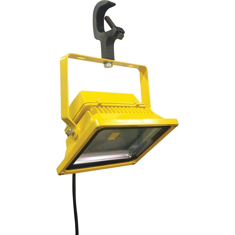 Image of Lind Equipment Beacon Light 50W LED Floodlights with Clamp Mount