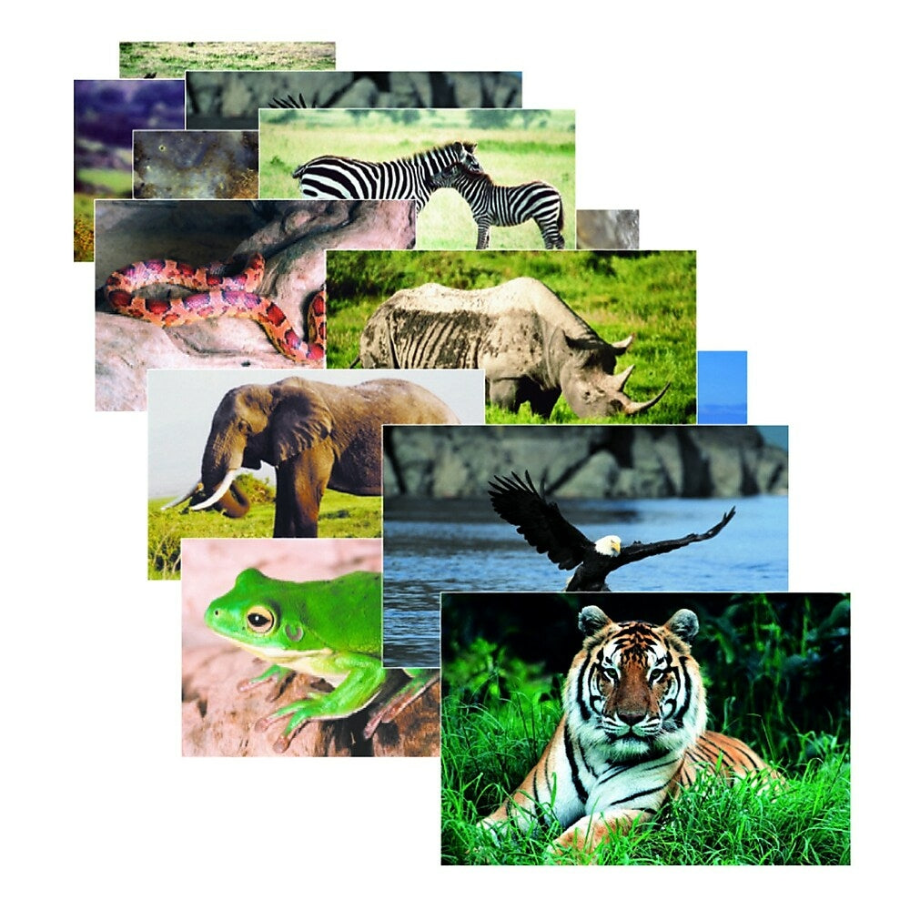 Image of Stages Learning Materials Wild Animals Poster Set, 10 Pack