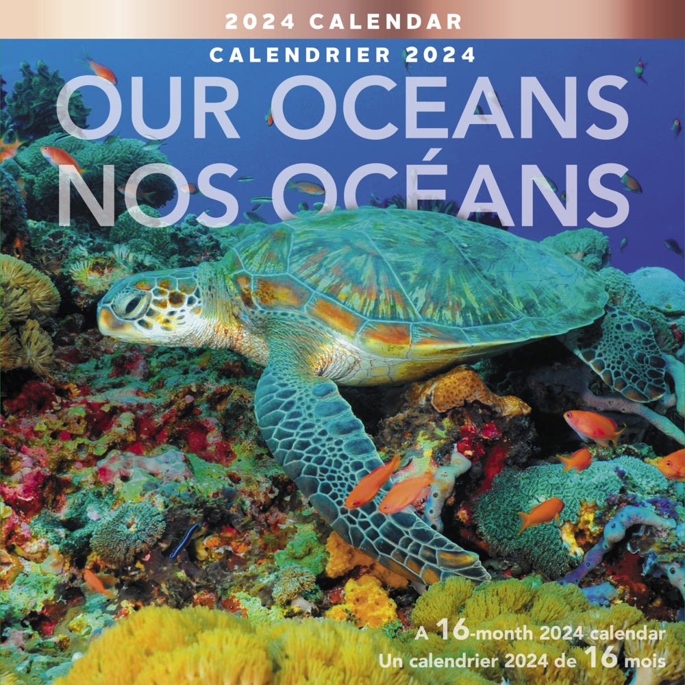 Image of Mead 2024 Our Oceans Wall Calendar - 12" H x 12" W - Bilingual