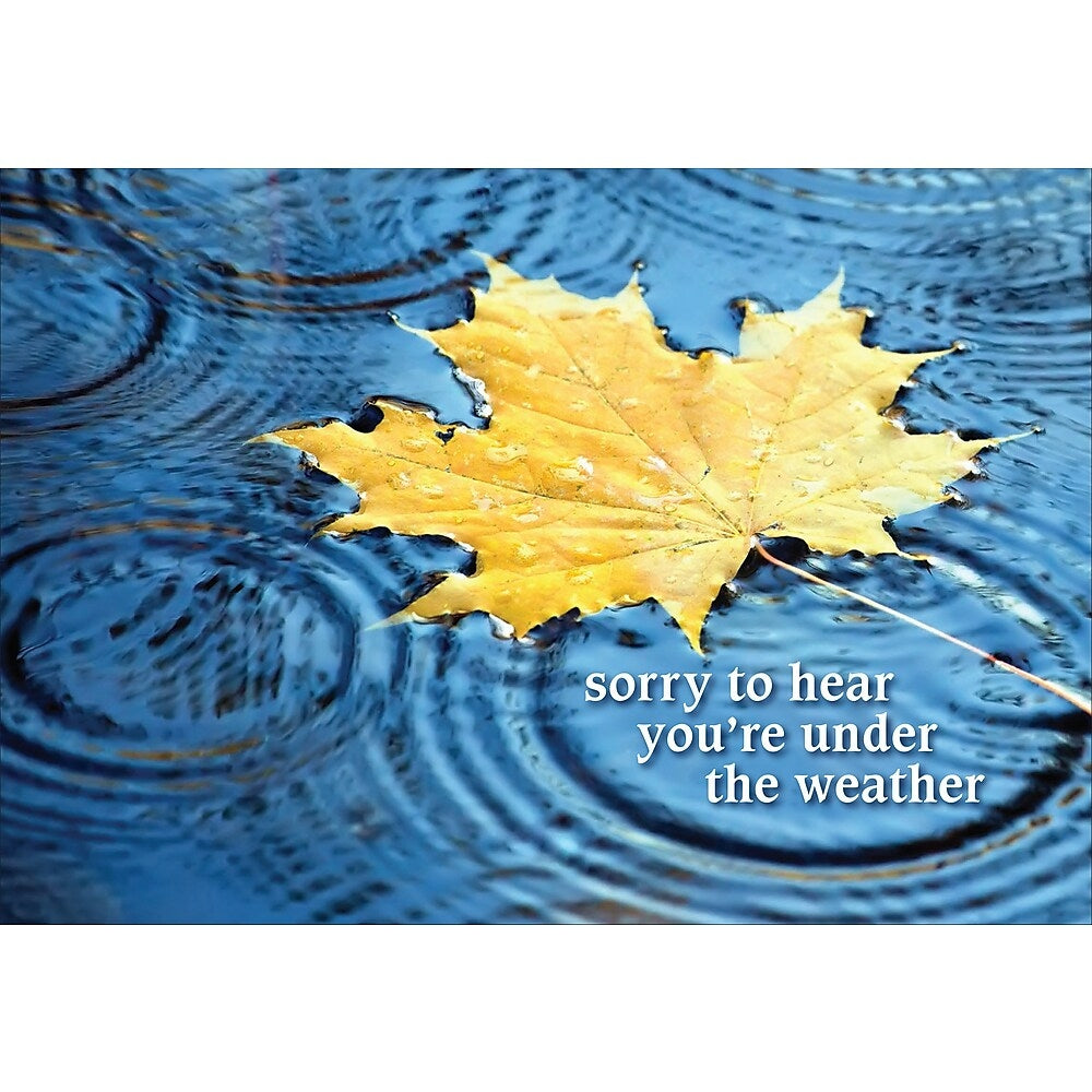 Image of Aline Greetings Get Well Masculine, Maple Leaf on Water, sorry to hear you're under the weather, 18 Pack