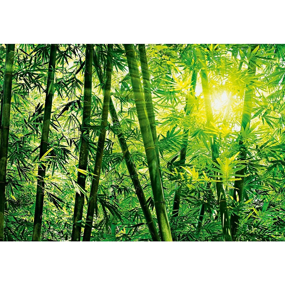 Image of Ideal Decor Bamboo Forest Wall Mural, 100" x 144", Green