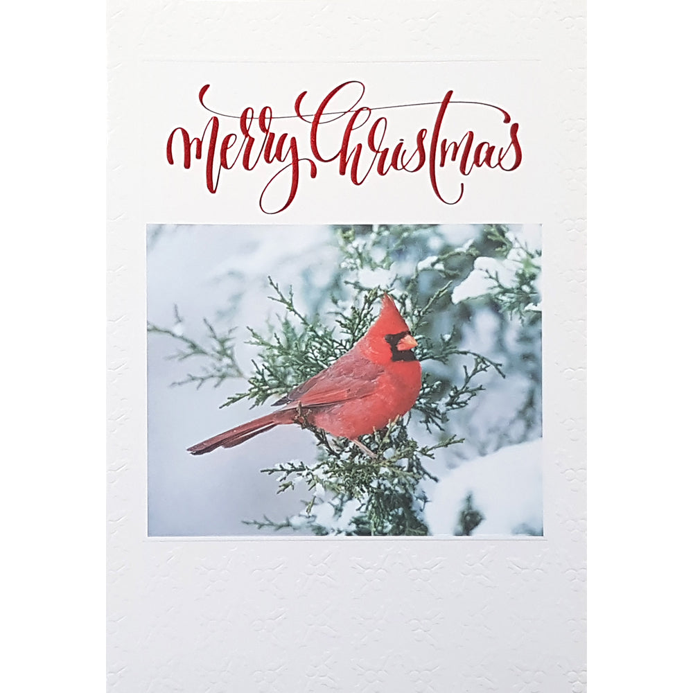 Image of Rosedale "Merry Christmas" Bird Greeting Cards with Envelopes - 5-1/2" x 8" - 12 Pack