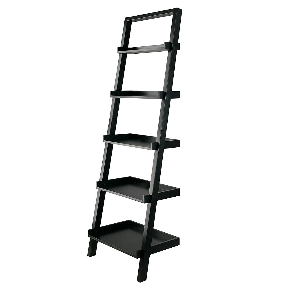 Image of Winsome Bellamy Leaning Shelf, Black (29553)