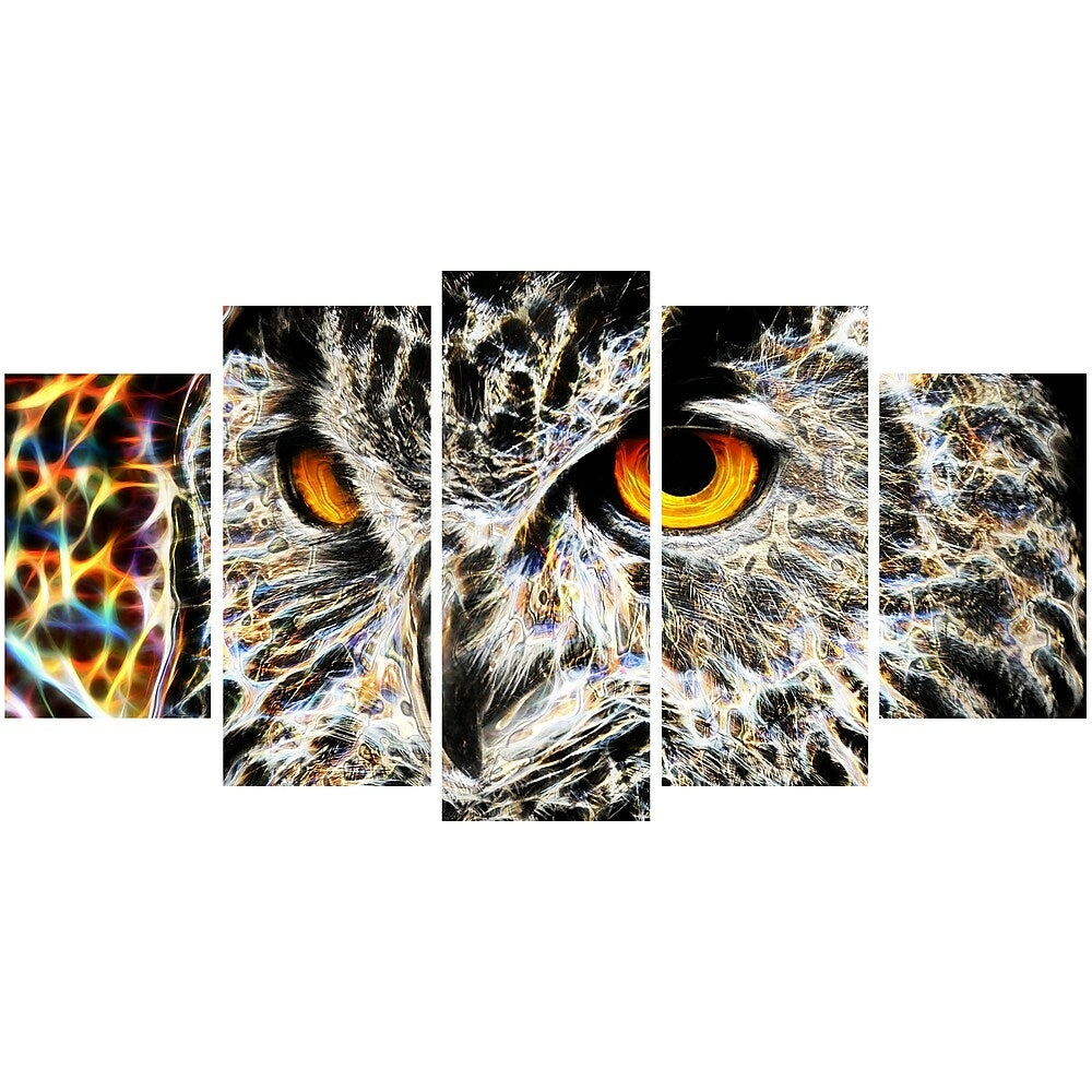 Image of Designart A Real Hoot Owl Animal Canvas Art, Multiple Sizes, (PT2420-373)