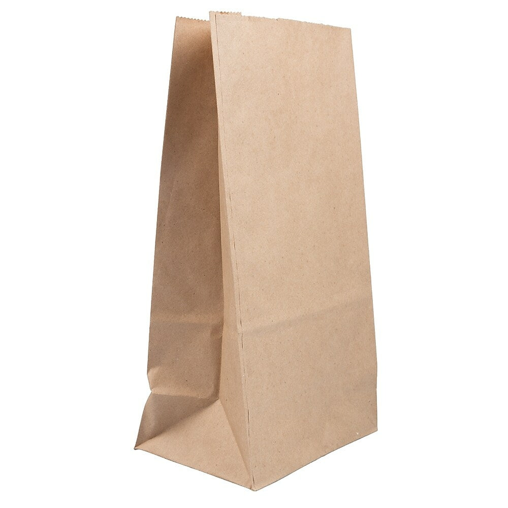 Image of JAM Paper Kraft Lunch Bags - Large - 6 x 11 x 3.75 - Brown Kraft Recycled - 50 Pack (692KRbrg)