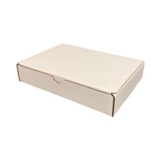 RLAVBL Boite Carton Expédition 20.3x15.3x10.2 cm, Lot de 25 Boites Carton  en Blanche : : Fournitures de bureau