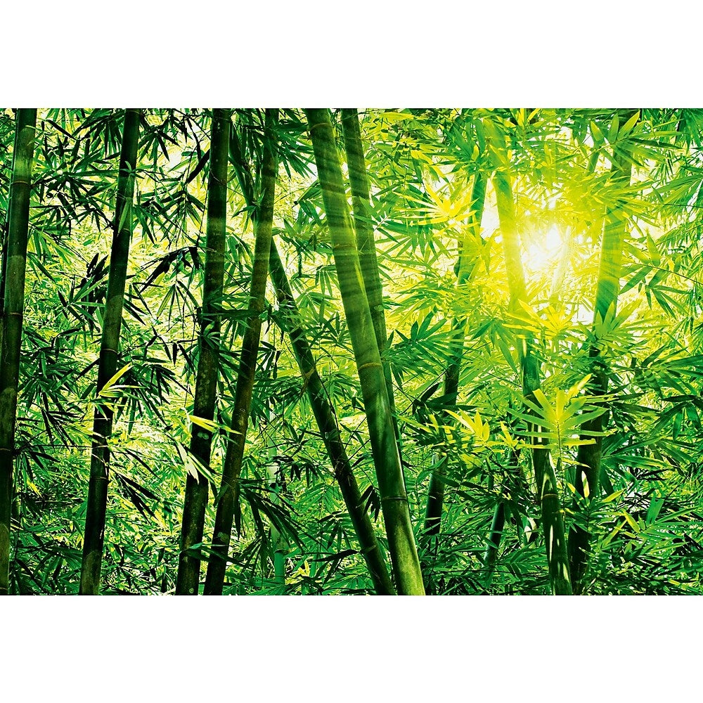 Image of Ideal Decor Bamboo Forest Wall Mural, 144" x 100", Green