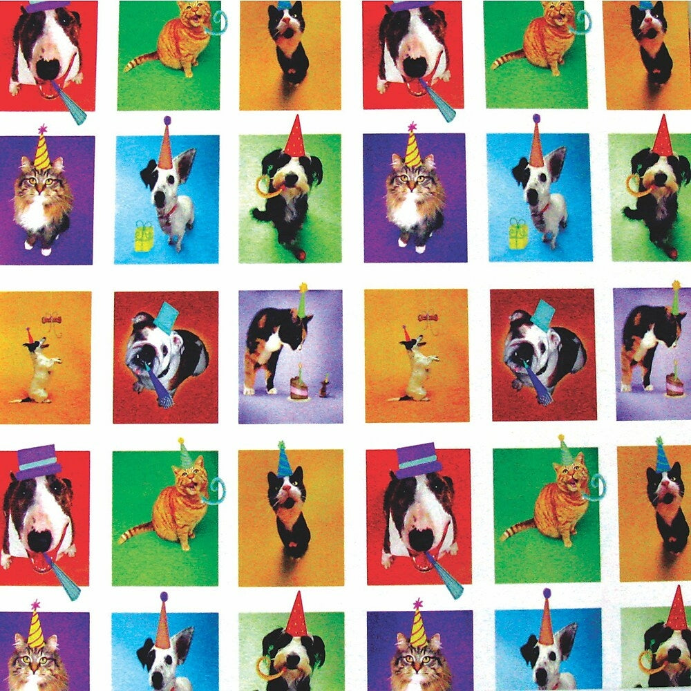 Image of 2 Sheet Flat Birthday Wrap, Animals, 12 Packs of 2 Sheets, 24 Pack