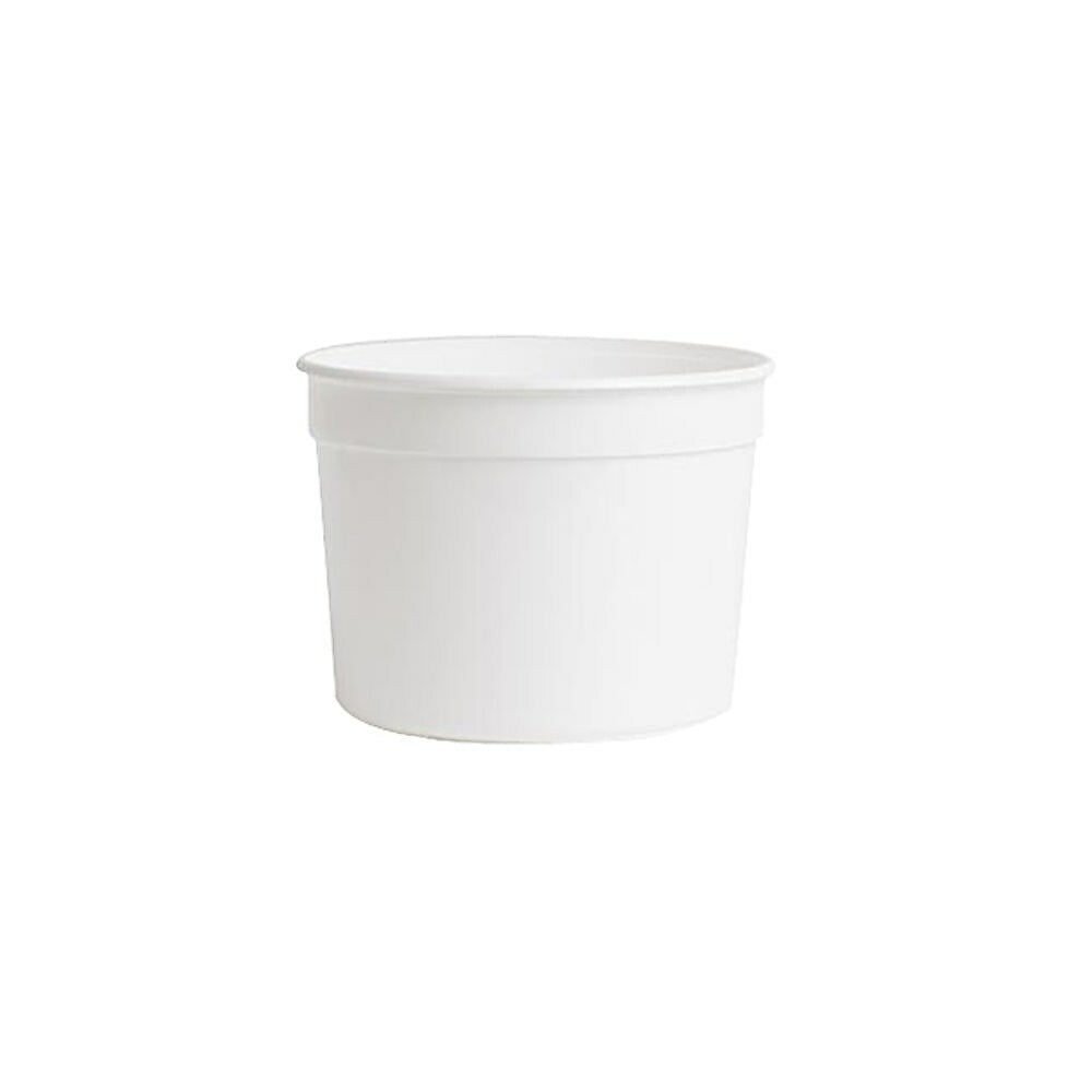Image of Plastipak High Density Polyethylene Container With No Handle, 4 L, 100 Pack