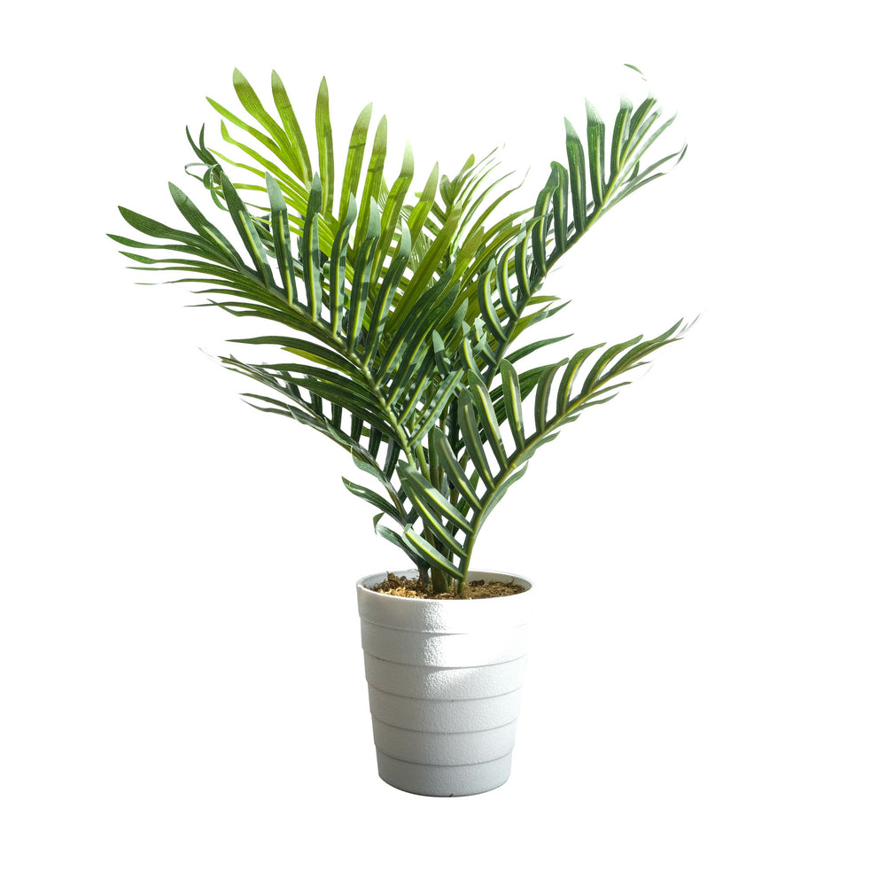 Image of Botaneeka Potted Mini Artificial Palm Tree - 19.69"