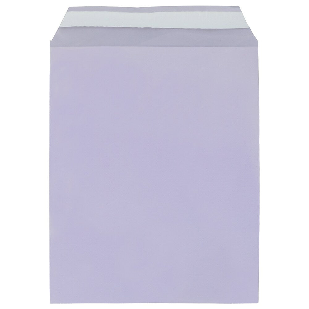 Image of JAM Paper Cello Sleeves, 8 15/16 x 11.25, Purple, 100 Pack (2783700)