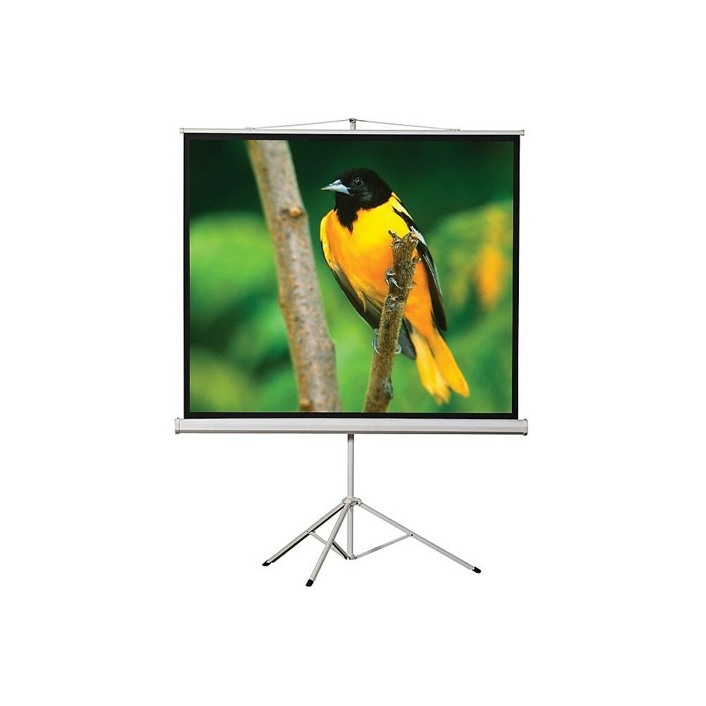 Image of EluneVision 70" x 70" Portable Tripod Projector Screen