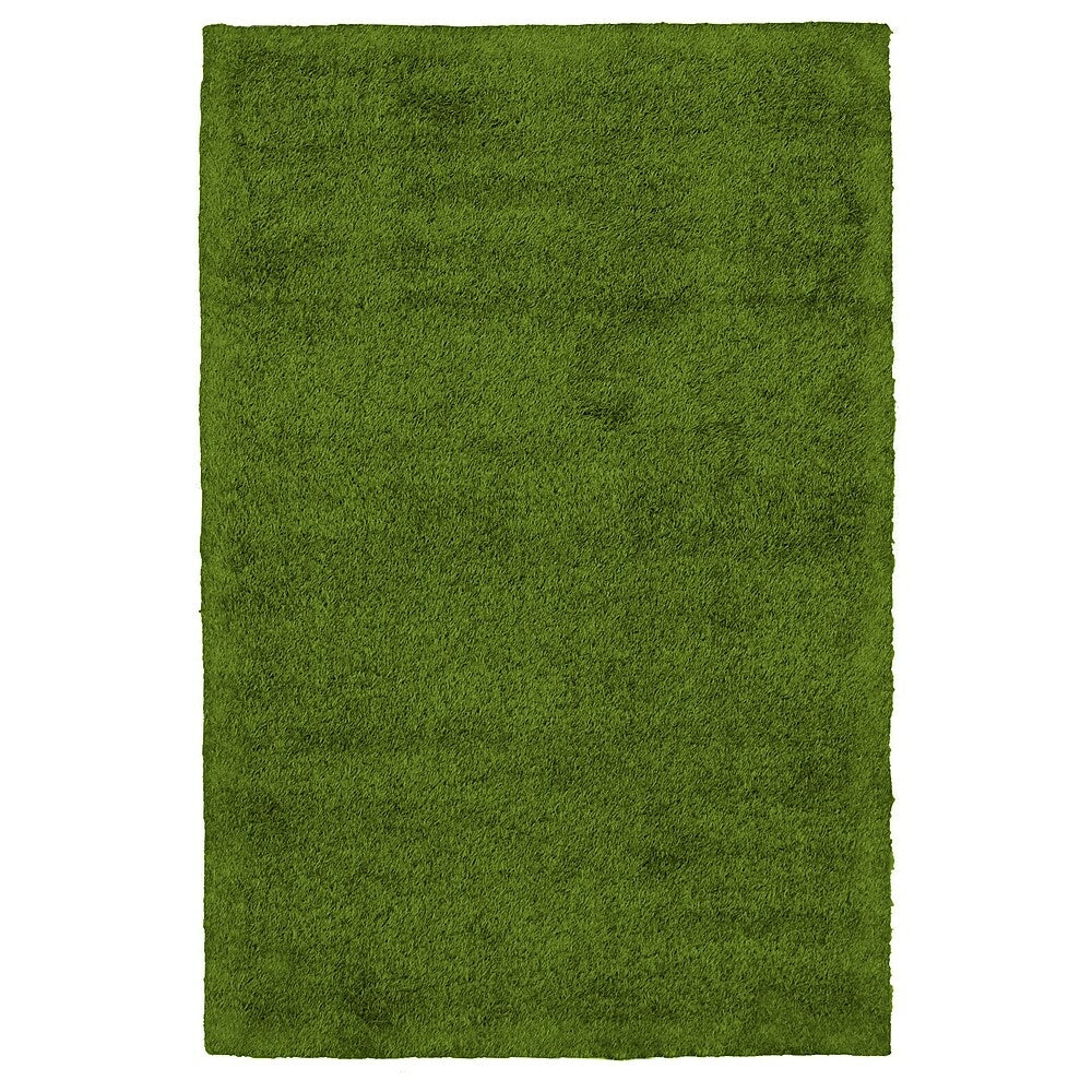 Image of eCarpetGallery Faux Grass Rug - 4' x 6' - Green