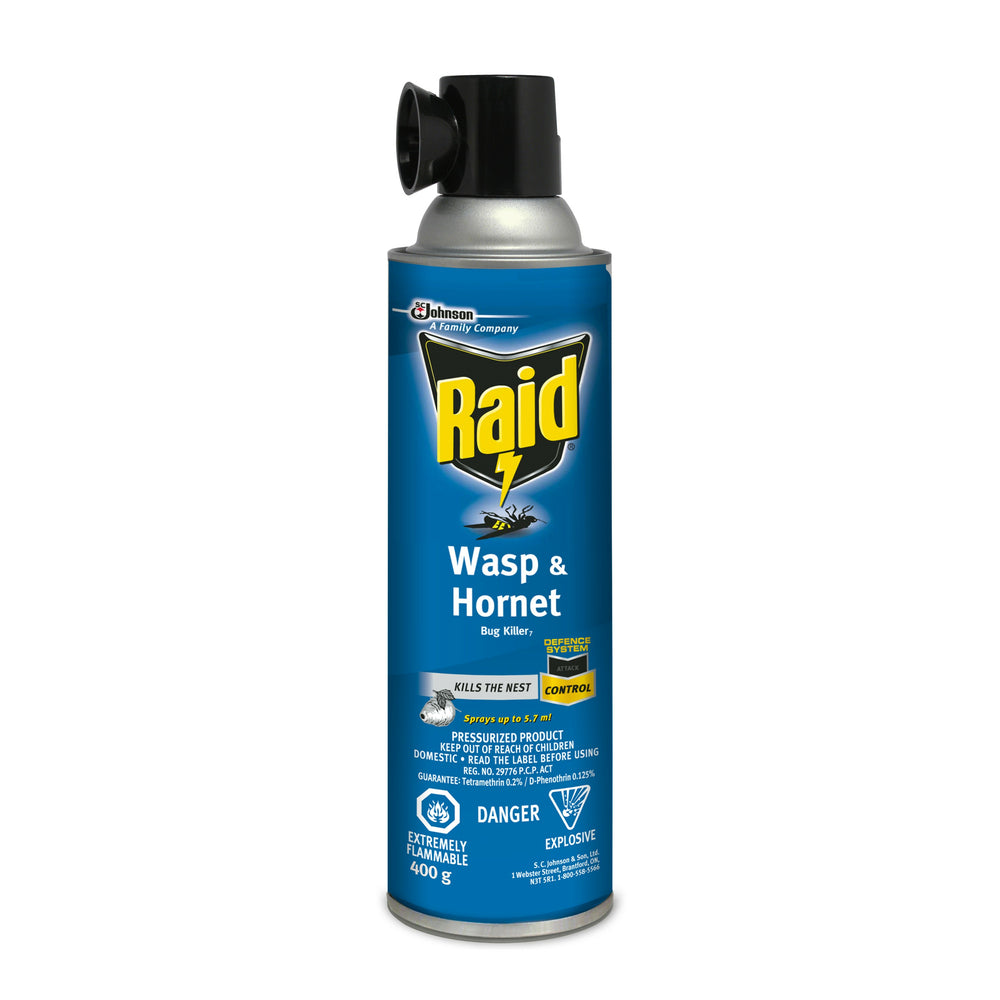 Image of Raid Wasp & Hornet Killer, 400g