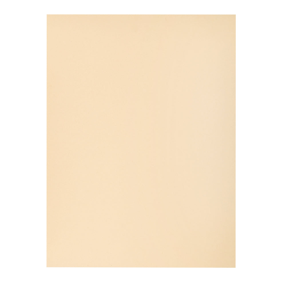 Image of North American Paper Inc. Tag Manilla Paper - 9" x 12" - HWT - 96 Sheets, Brown