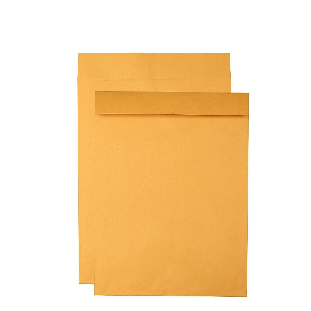 Image of Quality Park 17" x 22" Jumbo Brown Kraft Catalogue Envelopes - 25 Pack