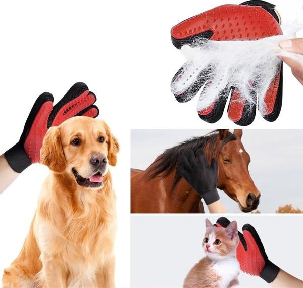 Gants Pour Brosser Les Poils De Chats Chien Cheval Stock De Cadeaux