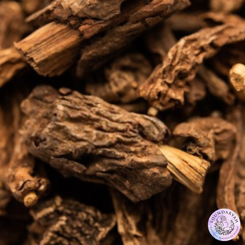 Mother Nature has blessed us with a quarry of wondrous herbs when it comes to natural, sustainable healthcare. The wonder herb Lodra is one such incredible ayurvedic herb that is one of the best to regulate problems in women without any side effects.