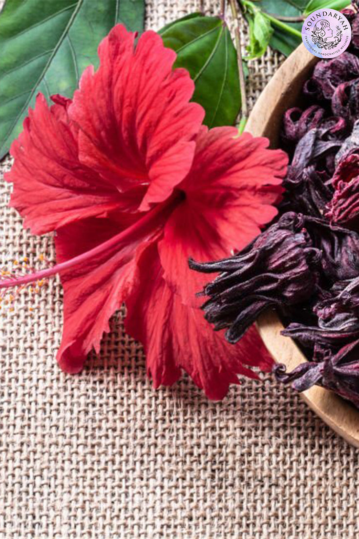 HOW TO USE HIBISCUS POWDER FOR HAIR  Nattfru