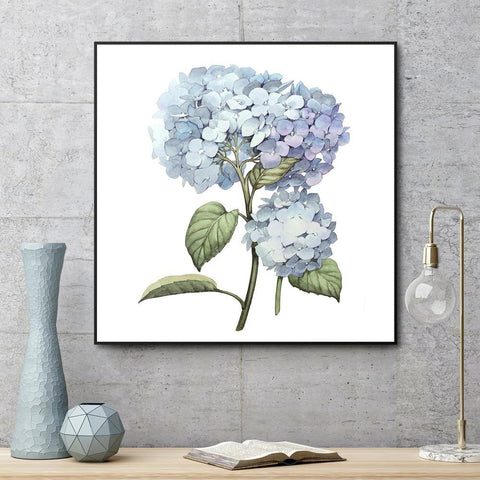 Hydrangea