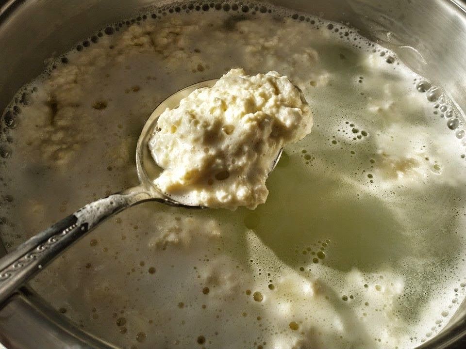 a spoon full of curdling milk during cheese making process