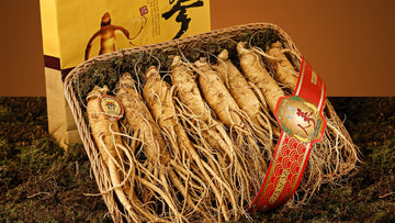 FINE COLLAGEN AND GINSENG DRINKS - GINSENG.jpg__PID:97d4ddd3-e66e-44c4-8c0a-72d2fc41d6c4