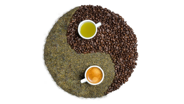 green tea and coffee combined for best energy, weight loss and focus