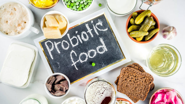 probiotic food bifidus fine usa