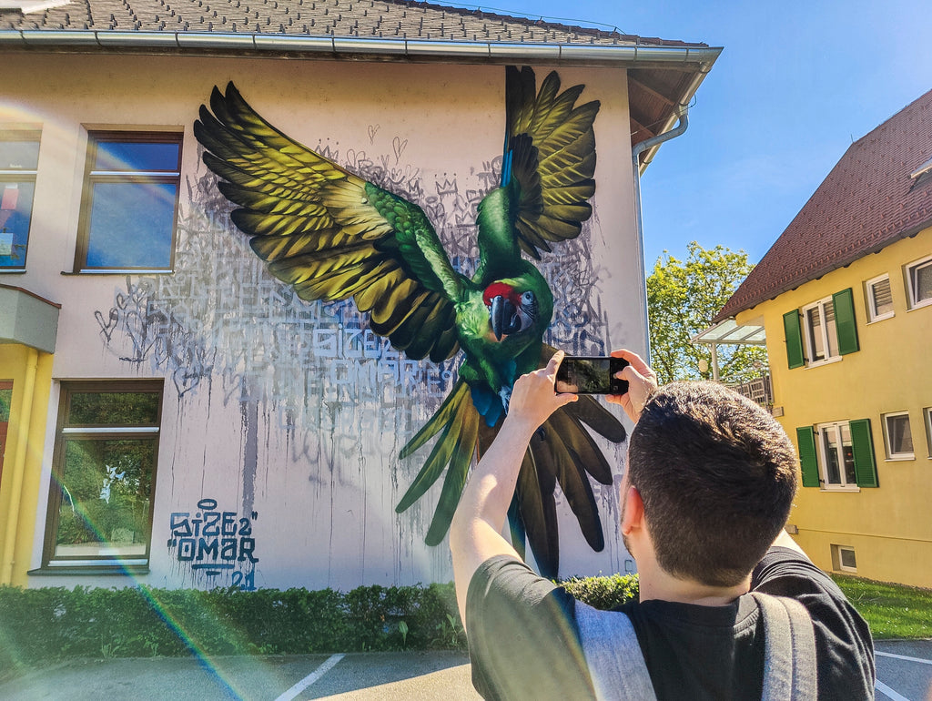 Documenting for the Street Art Guide Austria - mural by sizetwo & omar