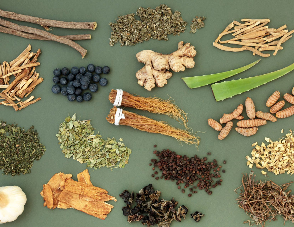 Groups of herbs, roots, berries, and whole spices on a green background.