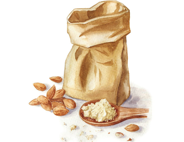 A watercolor painting of a brown paper bag surrounded by almonds and almond flour.